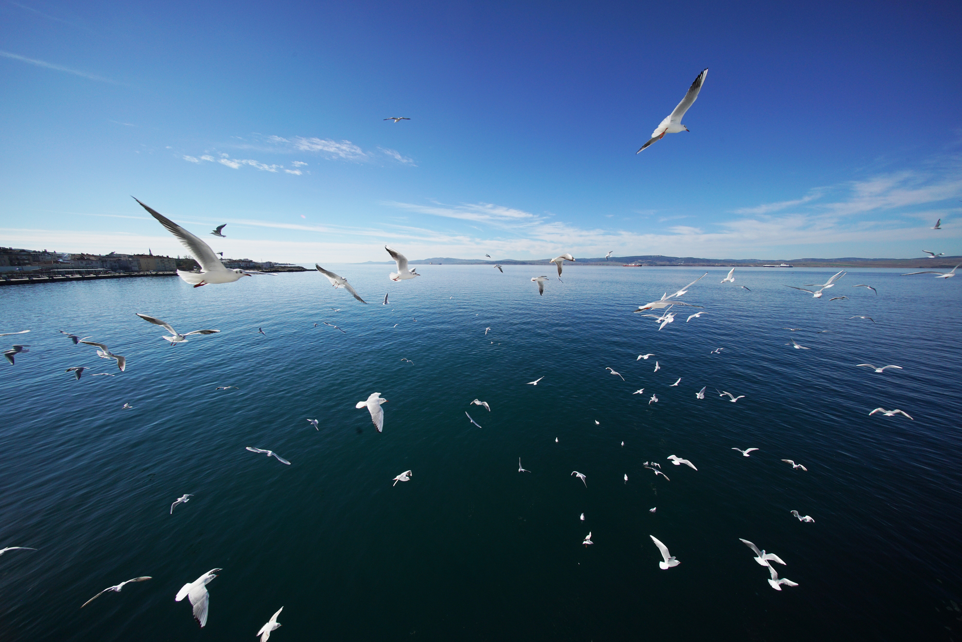 HELIAR-HYPER WIDE 10mm F5.6 Aspherical - 株式会社コシナ